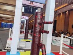 2024国际咏春拳大赛：科技革新与青春